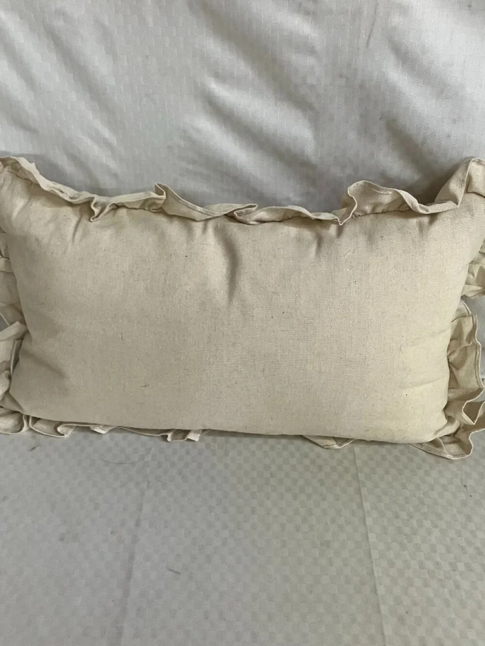 Shabby Chic Decorative Pillow 18x12
